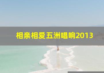 相亲相爱五洲唱响2013