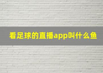 看足球的直播app叫什么鱼