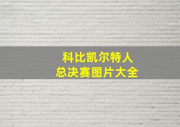 科比凯尔特人总决赛图片大全