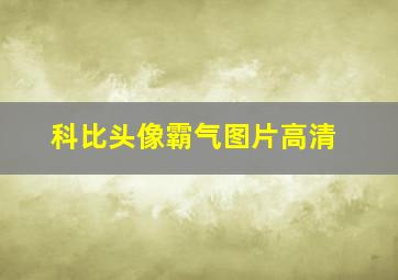 科比头像霸气图片高清