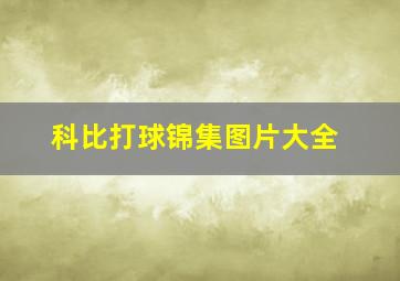 科比打球锦集图片大全