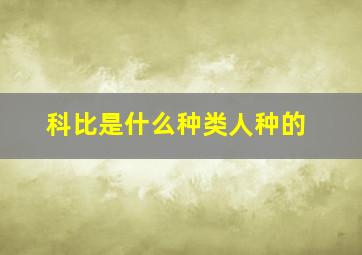 科比是什么种类人种的