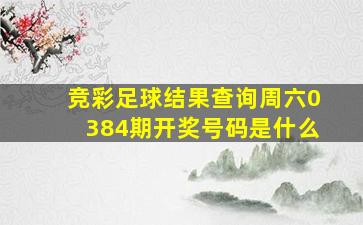 竞彩足球结果查询周六0384期开奖号码是什么