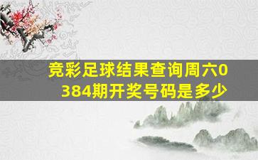 竞彩足球结果查询周六0384期开奖号码是多少