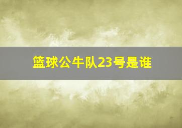 篮球公牛队23号是谁