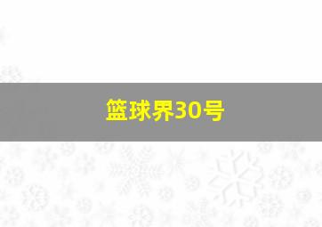 篮球界30号