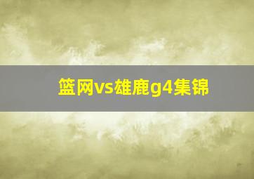 篮网vs雄鹿g4集锦