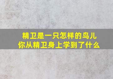 精卫是一只怎样的鸟儿你从精卫身上学到了什么