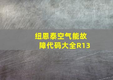 纽恩泰空气能故障代码大全R13