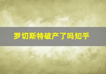 罗切斯特破产了吗知乎