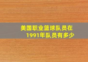 美国职业篮球队员在1991年队员有多少