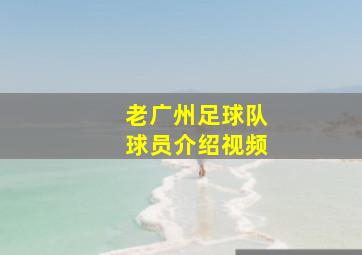 老广州足球队球员介绍视频