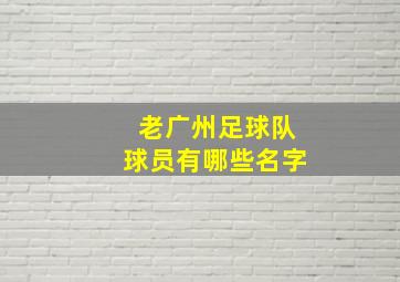 老广州足球队球员有哪些名字