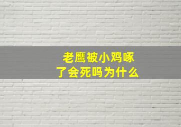 老鹰被小鸡啄了会死吗为什么