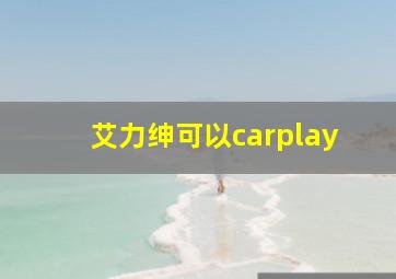 艾力绅可以carplay