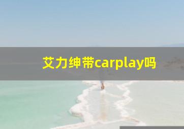 艾力绅带carplay吗