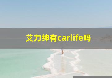 艾力绅有carlife吗