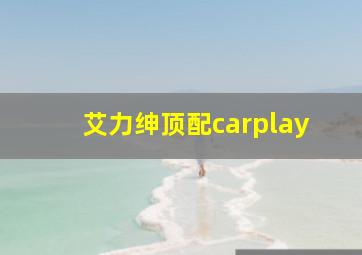 艾力绅顶配carplay