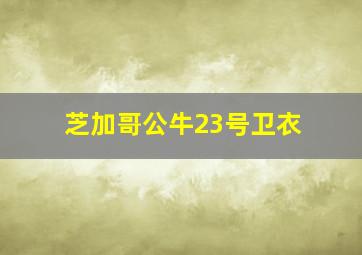 芝加哥公牛23号卫衣