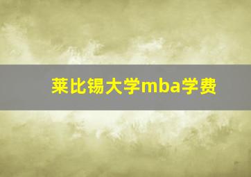 莱比锡大学mba学费