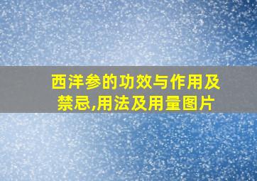 西洋参的功效与作用及禁忌,用法及用量图片