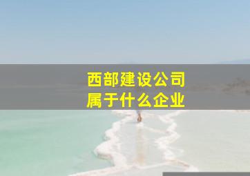 西部建设公司属于什么企业