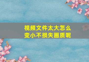 视频文件太大怎么变小不损失画质呢