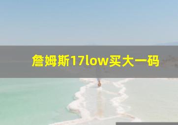 詹姆斯17low买大一码