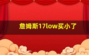 詹姆斯17low买小了