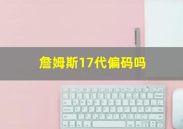 詹姆斯17代偏码吗