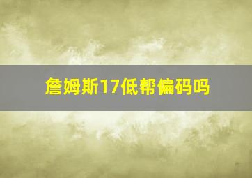 詹姆斯17低帮偏码吗