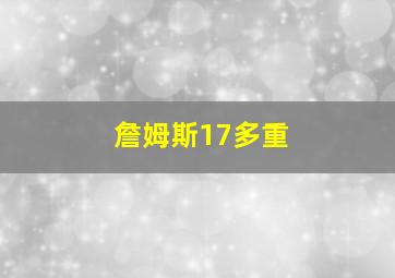 詹姆斯17多重