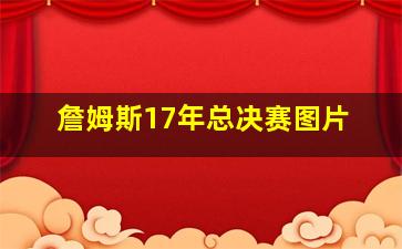 詹姆斯17年总决赛图片