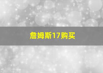 詹姆斯17购买