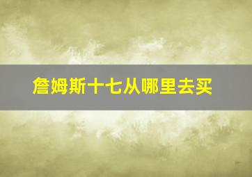 詹姆斯十七从哪里去买