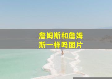 詹姆斯和詹姆斯一样吗图片