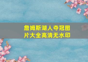 詹姆斯湖人夺冠图片大全高清无水印