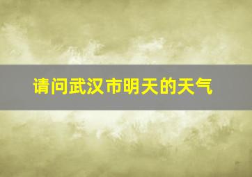 请问武汉市明天的天气