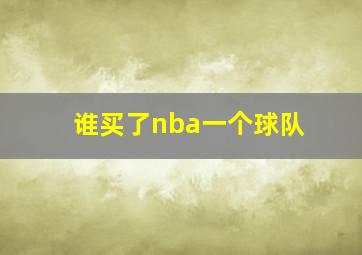 谁买了nba一个球队