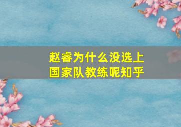 赵睿为什么没选上国家队教练呢知乎