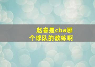 赵睿是cba哪个球队的教练啊