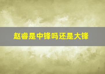 赵睿是中锋吗还是大锋