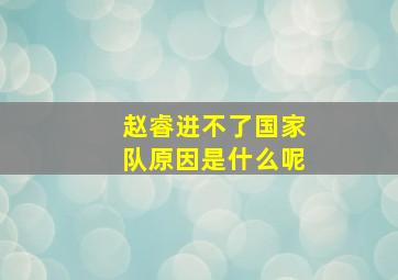 赵睿进不了国家队原因是什么呢