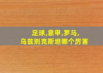 足球,意甲,罗马,乌兹别克斯坦哪个厉害