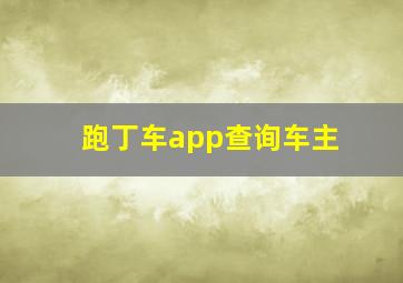 跑丁车app查询车主