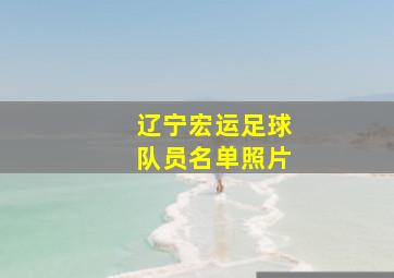 辽宁宏运足球队员名单照片