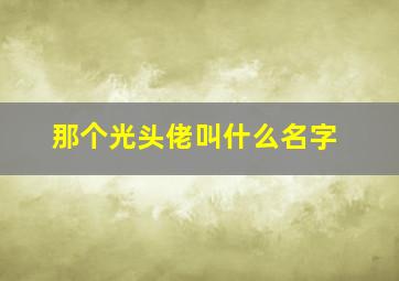 那个光头佬叫什么名字