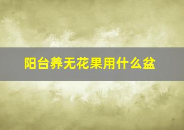 阳台养无花果用什么盆