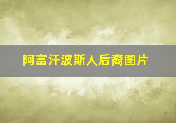 阿富汗波斯人后裔图片