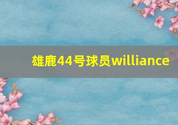 雄鹿44号球员williance